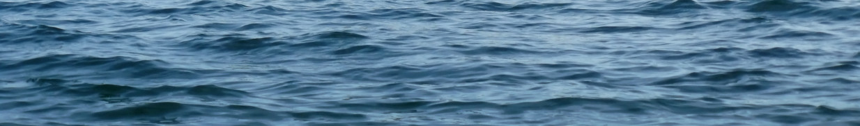 Default header image